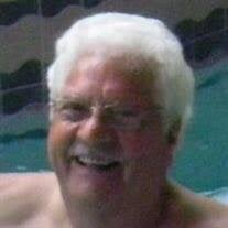 Harold "Hal" Perlman Obituary