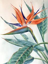 Watercolor Bird Of Paradise Painting The Bird Of Paradise Flower Watercolour Painting Tutorial Watercolor Flowers Paintings Flower Art Painting Paradise Painting