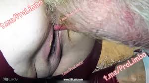 K9lady Boar brigade - BestialitySexTaboo - Bestiality Sex Taboo