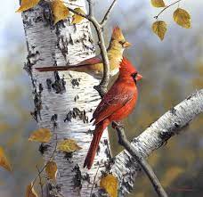 Cardinals On Birch Tree Painting By Robert Hautman Birds Painting Watercolor Bird Birch Tree Painting