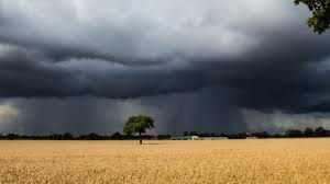 We would like to show you a description here but the site won't allow us. Cod RoÈ™u De FurtunÄƒ In Cinci LocalitÄƒÈ›i Din JudeÈ›ul Sibiu AdÄƒpostiÈ›i VÄƒ In SpaÈ›ii Inchise Ora De Sibiu