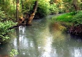The area surrounding big spring state forest picnic area is now largely a wild area. Tuscarora State Forest Blain Pa 17006