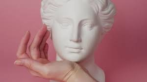 14 Venus Rose Stock Video Footage