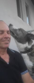 I have an older male mixed breed guy that was running the neighborhood 11th  and Dakota He's incredibly sweet and gentle. Please get ahold of me if he  belongs to you