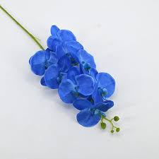 | / find beautiful dried wedding flowers for your diy wildflower bridal bouquets at afloral.com. Artificial Flower Manufacturer Supply Blue Silk Flowers Artificial Orchids Phalaenopsis Bouquet Buy Blue Silk Flowers Wedding Bouquets High Quality Artificial Flowers Bouquets Long Stem Artificial Orchids Silk Flowers Product On Alibaba Com