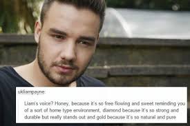 Dutch One Direction Streetteam