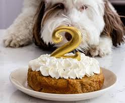 How about an adoption of a new dog or halloween? 12 Best Dog Cake Recipes Homemade Cake For Your Pup