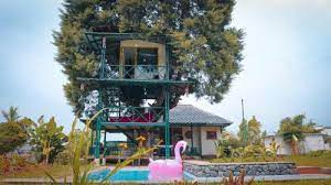 Penginapan di taman safari cisarua bogor prigen indonesia pandaan pasuruan bali dekat tempat murah area sekitar caravan harga didalam daerah bungalow jalan lodge malam malang mobil puncak review referensi rumah pohon sewa tarif 2021. Sewa Villa Di Taman Safari Murah Bagus Kolam Renang Fasilitas Lengkap