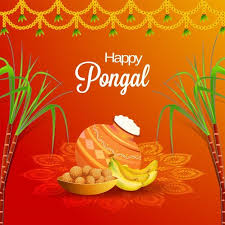 Premium Vector Happy Pongal Background Happy Pongal Happy Pongal Greeting Cards