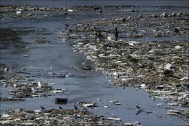 Lakes, rivers, oceans, and groundwater. Water Pollution Worries In Developing World Ecomena