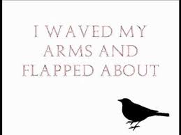 Birds Of A Feather Lyrics Florence The Machine Bird Song Lyric Video Hq Youtube Bird Song Lyrics Songs