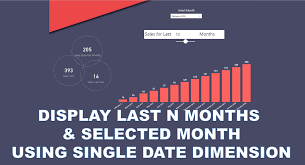 Display Last N Months Selected Month Using Single Date