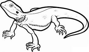 Make a coloring book with lizard bearded dragon for one click. Bearded Dragon Coloring Pages Best Coloring Pages For Kids