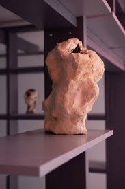 Bildergebnis für Shahin Afrassiabi