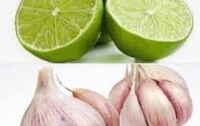 Citron Ail Pour Eliminer Les Ver Ou Ascaris De Vos Estomac Agoloo Ads Garlic Fruit