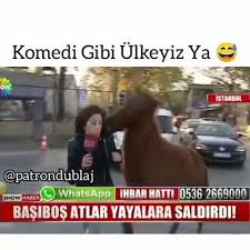 Beyza Dogan Adli Kullanicinin Caps Panosundaki Pin En Komik Alintilar Komik Capsler