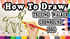 Follow the red line for each step. How To Draw A Treeing Walker Coonhound Dog Draw Easy For Kids Youtube