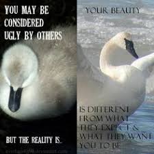 If you say that someone, especially a child , is an ugly duckling , you mean that they. Yes I Am An Ex Ugly Duckling