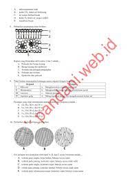 We did not find results for: Soal Usbn Tahun Pelajaran 2017 2018 Blog Pak Pandani