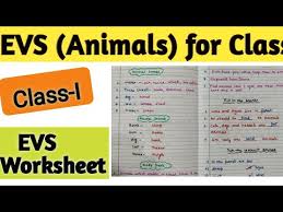 Worksheets for grade 1 evs army public school dhaula. Evs Class I Animals Worksheet And Chapter Detail Evs Classi Animals Animalsworksheet Cbse Icse Youtube