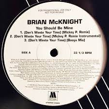 Brian Mcknight You Should Be Mine Don T Waste Your Time 1997 Vinyl Discogs
