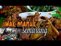 We did not find results for: Warung Iwak Manuk Semarang Youtube