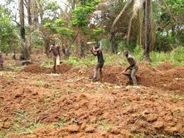 Isuochi Ancient Kingdom