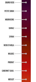 Defining Full Bodied Red Wines Wine Folly