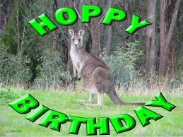 Happy Birthday Kangaroocrazy 6 28 Betterthandiamond Com