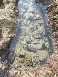 Tide Pools In Harhoura Just Outside Of Rabat Tide Pools Rabat Morocco Rabat