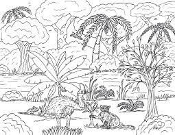 Each printable highlights a word that starts. Robin S Great Coloring Pages Daintree Rainforest