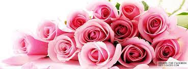 Pink Roses Facebook Covers Facebook Profile Covers Buon Compleanno Fiori Di Compleanno Rose Belle