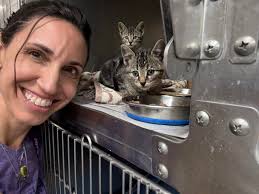 We hope you'll join us this Saturday, April 27th, from noon-2pm in our  Adoption Center lobby for Paws & Pages