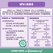 Image result for HIV Pathophysiology