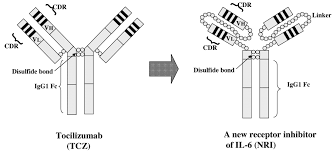 Substance record sid 17396767 for tocilizumab (usan/inn) submitted by kegg. Vegf Targeting In Mesotheliomas Using An Interleukin 6 Signal Inhibitor Based On Adenovirus Gene Delivery Anticancer Research
