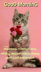 Pin By Eron On Good Morning Malayalam Good Morning Oly Best