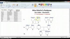Creating Family Pedigrees With Microsoft Paint