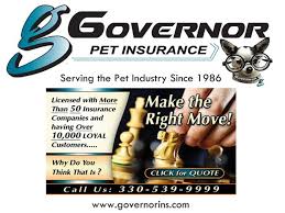 It's you versus pet corp in this fast paced fur flying good time! Insurance Legal Taxes Petgroomer Com