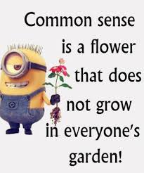 images?q=tbn%3AANd9GcQH5DQmUJxZ52M0swQymylQpOdhHJ9k3RMbNg&usqp=CAU