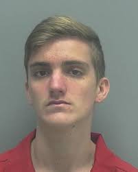 Teens accused of stealing truck in Cape Coral. Cops say technology helped  in arrests.