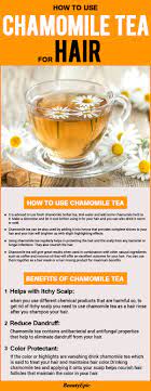 Chamomile Tea For Hair Surprising Benefits How To Use Chamomile Tea Hair Chamomile Tea Chamomile Tea Benefits