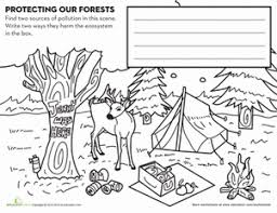 Protecting Forests Worksheet Education Com Earth Day Worksheets Earth And Space Science Topic Worksheets