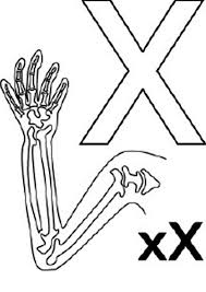 A pop of color will bring this printable coloring pack to life. Big And Small Letter X For X Ray Coloring Page Bulk Color Coloring Pages Small Letters Lettering