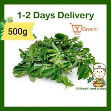 5.440 resep sayur labu ala rumahan yang mudah dan enak dari komunitas memasak terbesar dunia! Pucuk Manis é©¬å°¼èœ Fresh Vegetable Delivery 500g Shopee Malaysia