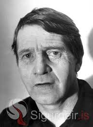 Halldór Jón Jónsson (Búrfelli)