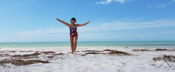 Maybe you would like to learn more about one of these? Caladesi Island State Park Florida State Parks