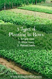 We did not find results for: 3 Types Of Planting In Rows For Your Vegetable Garden Garden Layout Vegetable Row Gardening Starting A Vegetable Garden