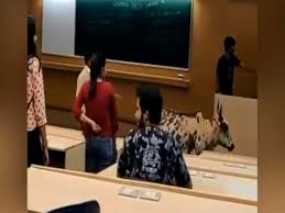 A video of the cows walking across the classroom has gone viral on social media, which has gathered. Guard To Tackle Cattle Issue On Iit Bombay Campus Mumbai News Times Of India