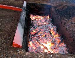 Check spelling or type a new query. Open Burning Open Burning