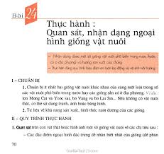 Giống vật nuôi là gì? Sgk Cong Nghá»‡ 10 Bai 24 Thá»±c Hanh Quan Sat Nháº­n Dáº¡ng Ngoáº¡i Hinh Giá»'ng Váº­t Nuoi
